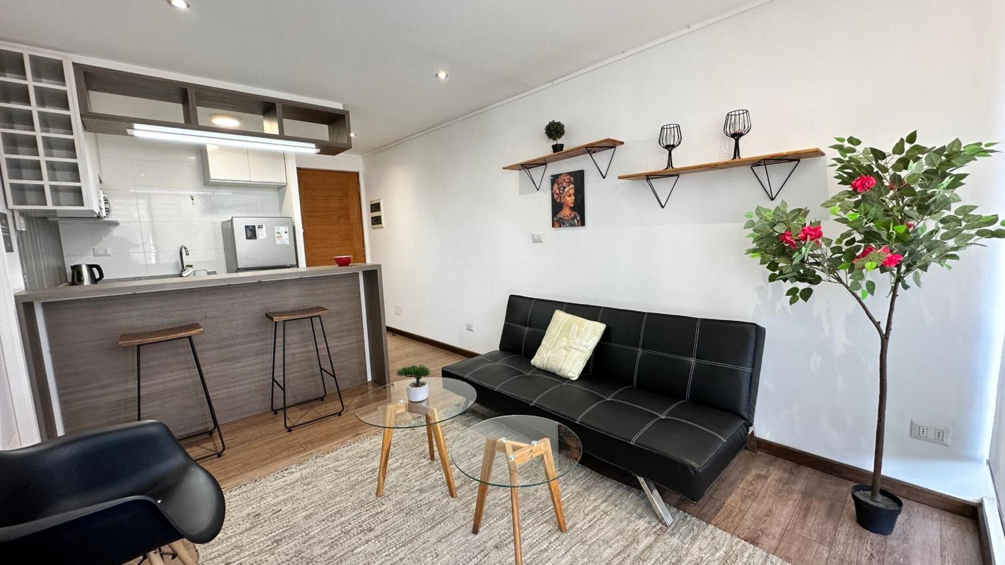 Apart Hotel Castellon 176 กอนเซปซิออน ภายนอก รูปภาพ